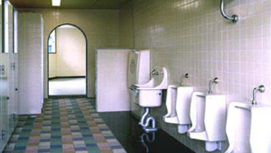 toilet